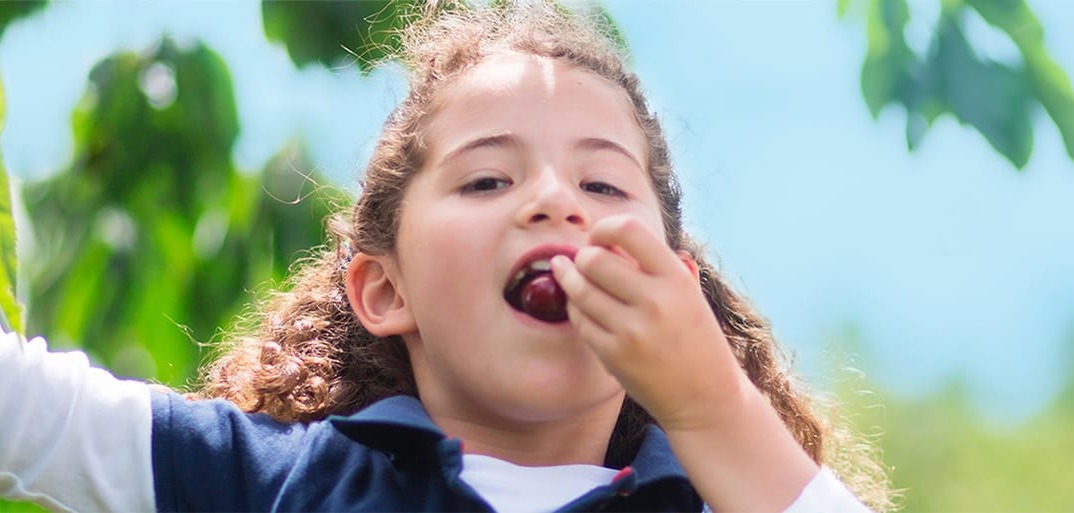 Header-kid-1414×513 A young girl with curly hair enjoying fresh fruit, picking and eating it directly from a tree in a lush, green orchard.