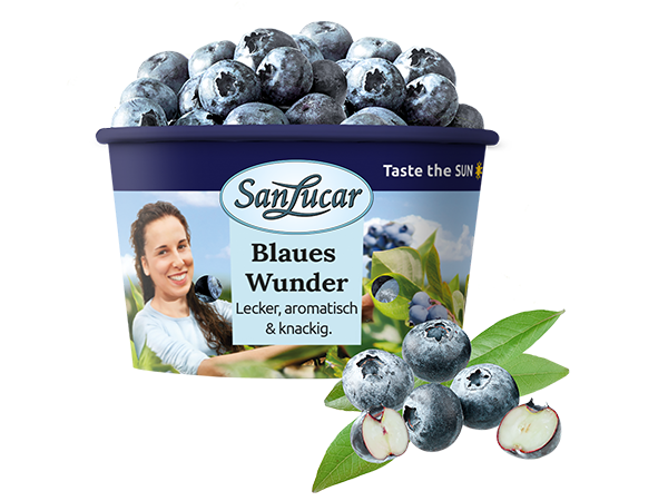 Heidelbeeren-bowl Container of SanLucar “Blaues Wunder” blueberries, showcasing fresh, aromatic, and crunchy berries.