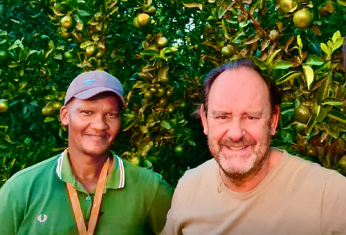 Eusebios Näschen für Orangenblüten Eusebio harvesting fresh oranges – sun-ripened citrus fruits picked with care for the best quality.