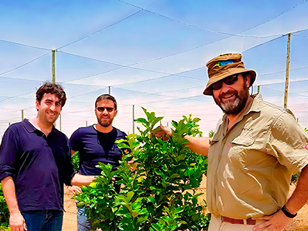 Giuliano zu Besuch in Middelriver.1 A farmer inspecting fresh fruit in the Middelriver fields, surrounded by lush greenery and natural sunlight.