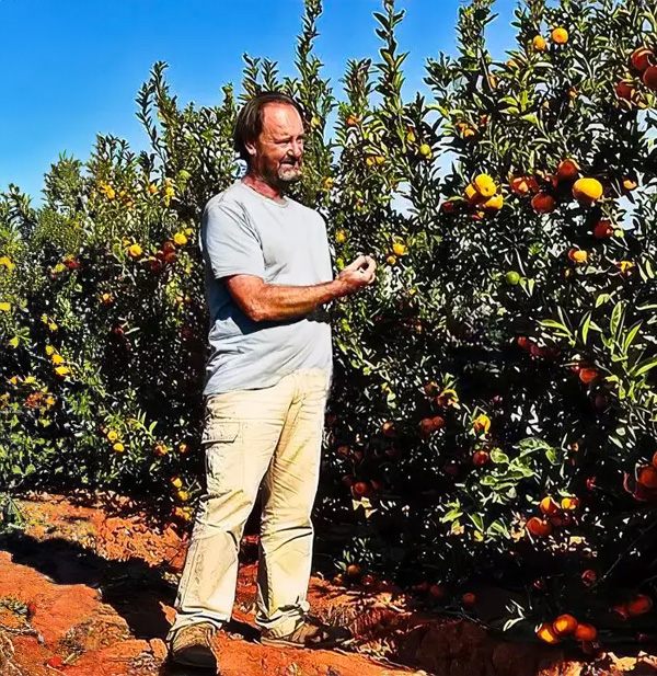 Mandarinen Eusebio Fresh mandarins harvested by Eusebio – high-quality, juicy citrus fruits grown with care.