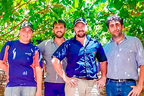 Trauben-Tests in Südafrika A group of four smiling vineyard workers standing together in a lush grapevine field, surrounded by green leaves and bright sunlight.