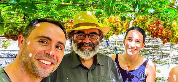 A farmer standing in a lush green field, inspecting the crops under natural sunlight.