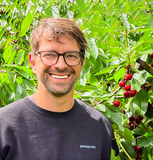 Kirschen A smiling farmer wearing glasses and a black sweater, standing in a lush cherry orchard with ripe red cherries on the tree behind him.