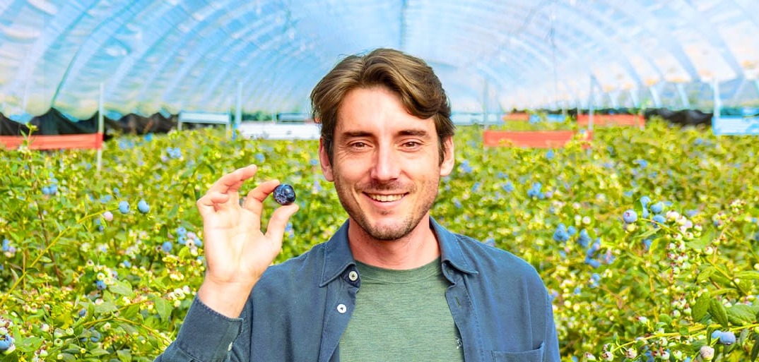 Header-blueberries-2-1414×513 Header image of fresh, vibrant blueberries arranged on a contrasting backdrop, highlighting premium natural fruit.