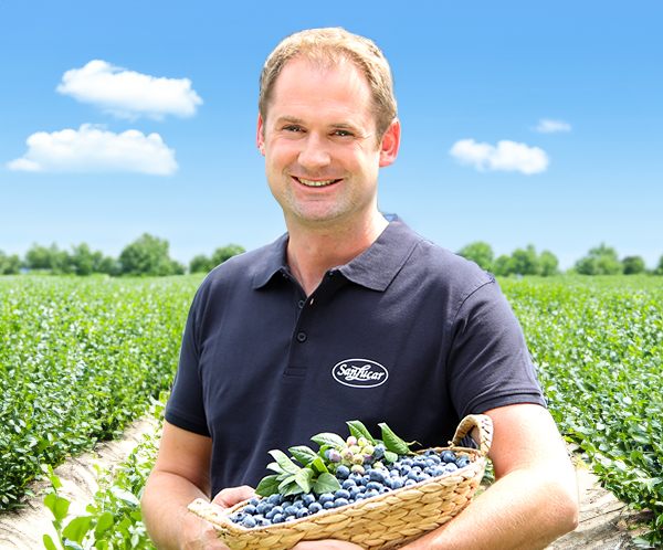 Die blaue Beeren Stunde1 Smiling farmer holding a basket of freshly harvested blueberries in a sunlit field under a bright blue sky.