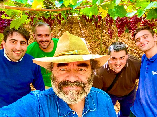 SanLucar vineyard with ripe grapes hanging from the vine, highlighting freshness, quality, and sustainable farming.