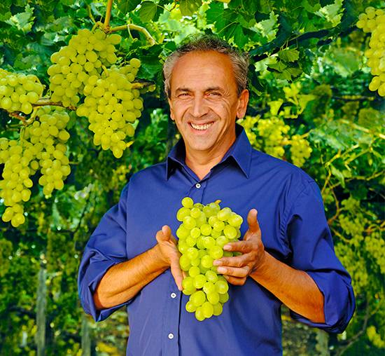 VTrauben Close-up of fresh, juicy grapes clustered together, showcasing vibrant color and premium quality produce.