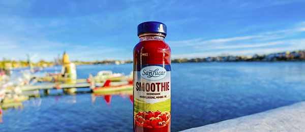 Berries-smoothie-sea-deu A refreshing berry smoothie served in a glass, surrounded by fresh strawberries, blueberries, and raspberries, with a beach setting and ocean in the background.