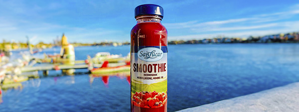 Berries-smoothie-sea-deu