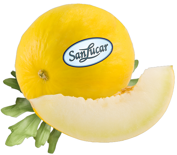 melonen Close-up of fresh, ripe melons arranged on a rustic surface, highlighting premium produce.