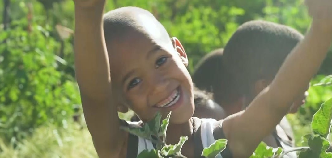 Header-kid-1414×513 A smiling child in a lush orchard, enjoying freshly picked fruit under natural sunlight.