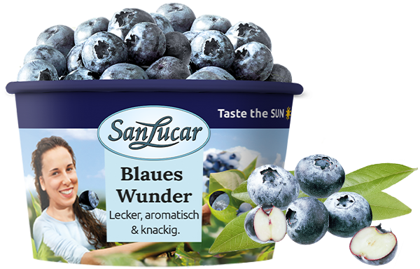 A 225g container of fresh SanLucar blueberries in a transparent nature bowl, showcasing plump and juicy berries.