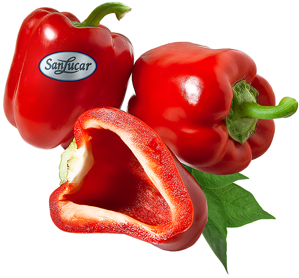Paprika A fresh red bell pepper with a smooth, glossy surface and a green stem, isolated on a white background.