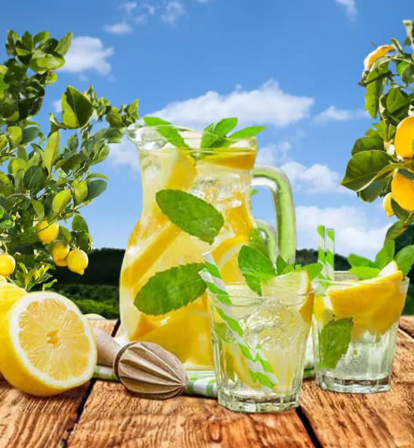 limonada A refreshing glass of homemade lemonade with fresh lemon slices and ice, served on a sunny day.