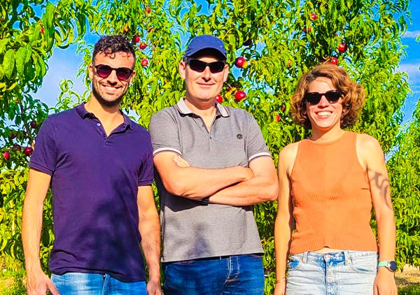 Süße Sorten für einen langen Sommer