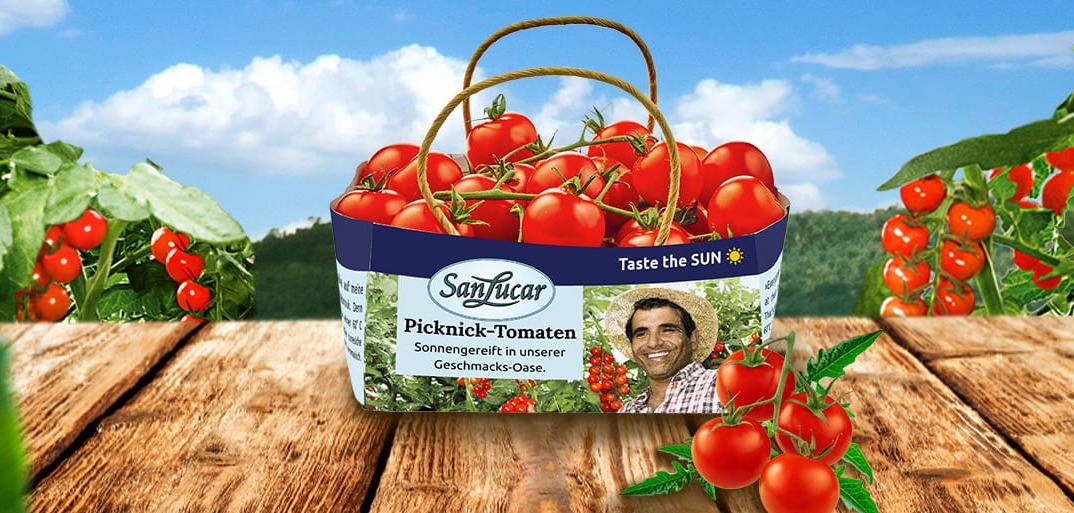 Header-tomato-naturtute-1414×513 Basket of fresh SanLucar picknick tomatoes on a wooden table with a lush green background