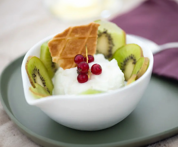 kiwi-yogurt Creamy kiwi yogurt ice cream served with fresh kiwi slices – a refreshing and fruity frozen dessert