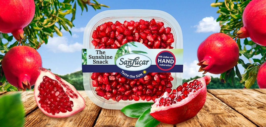 Header-FreshCut-1414×513 Header image of fresh-cut produce on a clean backdrop, highlighting convenience and premium freshness.