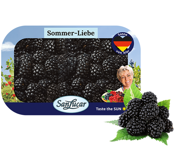 Blackberry packaging with SanLucar branding, featuring fresh blackberries and a quality guarantee label.