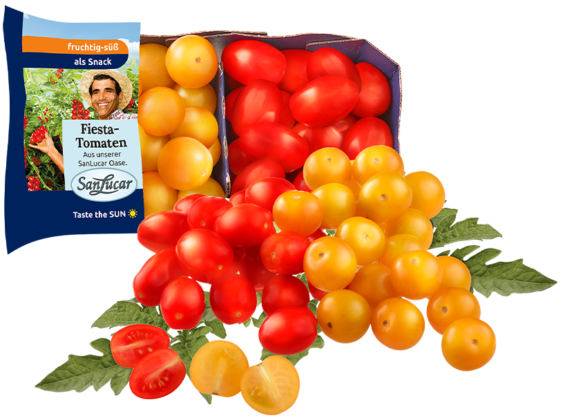 Fresh SanLucar Fiesta tomatoes, bright red and juicy, packed for a sweet and aromatic flavor.