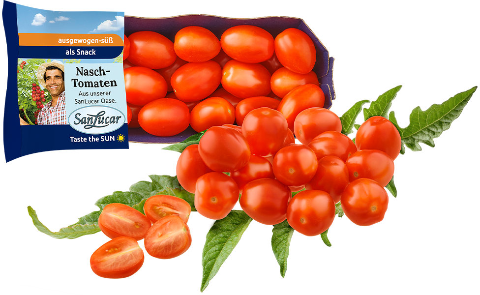 Fresh SanLucar Nasch tomatoes, small and vibrant red, packed for a sweet and juicy snack.