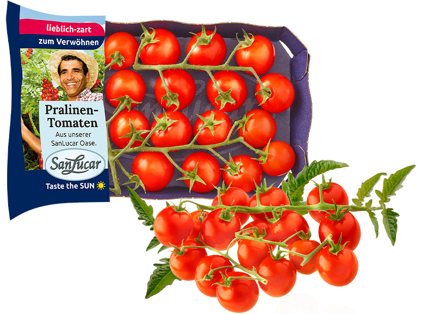 Fresh SanLucar Pralinen tomatoes, small and vibrant red, packed for a sweet and flavorful bite.