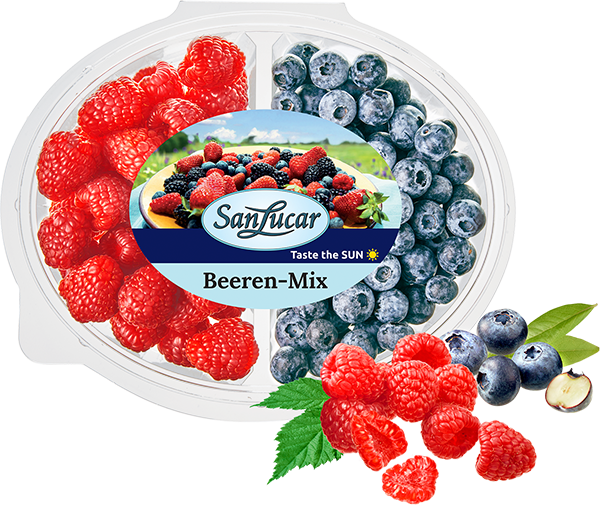 Beeren-Mix Berry mix with fresh blueberries, raspberries, and blackberries in a clear container, showcasing vibrant colors and freshness.