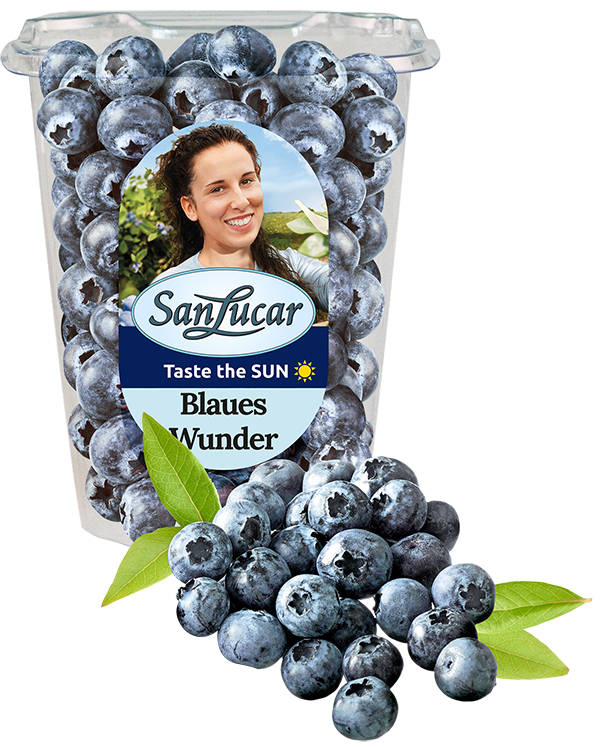 Blaues Wunder Blaues Wunder blueberries in a premium, eco-friendly pack, highlighting freshness and sustainable packaging.