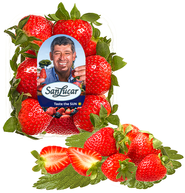 Fresh 400g pack of ripe strawberries in eco-friendly packaging, highlighting their vibrant red color and natural sweetness.