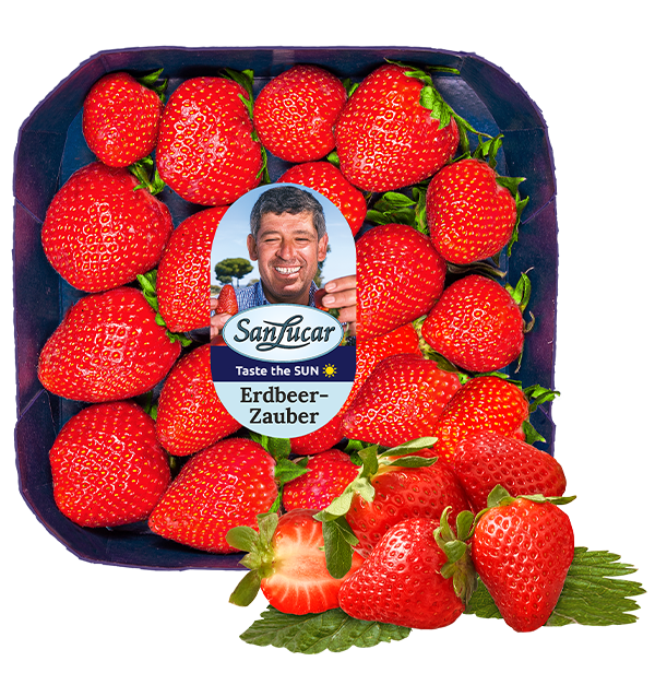 Premium fresh strawberries in eco-friendly packaging, highlighting their vibrant red color and superior quality.