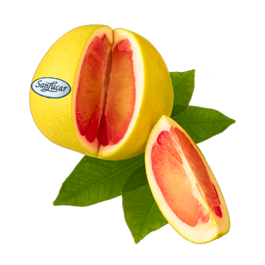 Fresh SanLucar grapefruits, whole and halved, showcasing juicy, vibrant citrus fruit.