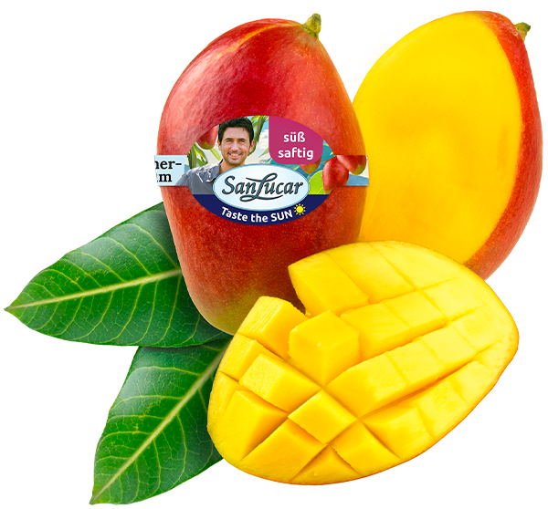 Fresh SanLucar mango, whole and sliced, showcasing its juicy golden-orange flesh and smooth skin.