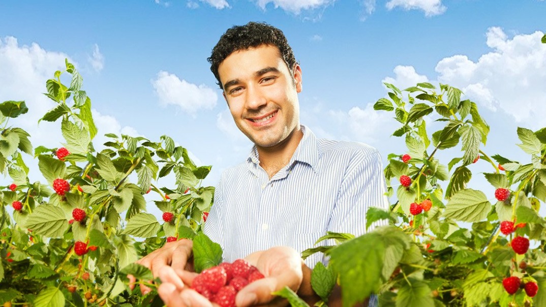 Header-Himbeeren-1414×630 Fresh, ripe raspberries with a vibrant red color, highlighting their juicy texture and natural sweetness.