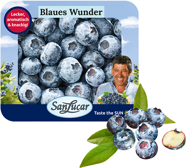 Heidelbeere_Blaues_Wunder_Kartonschale Blueberries in a sustainable cardboard tray, labeled