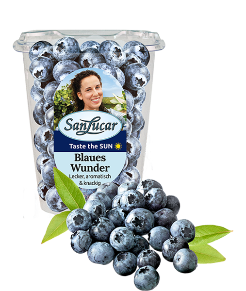 Heidelbeere_Shaker_blaues_wunder_225g