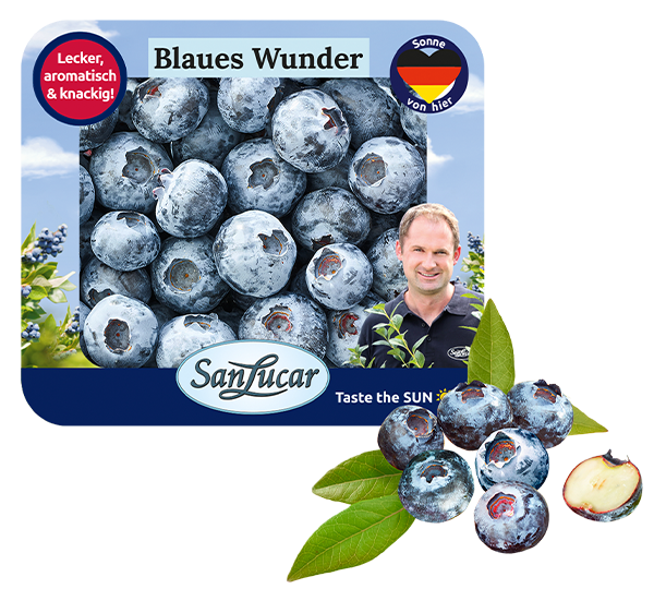 Heidelbeeren_Blaues_Wunder_130g_DEU Blaues Wunder blueberries in a 130g recyclable pack, highlighting freshness and sustainable packaging.