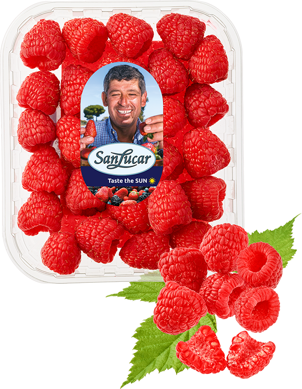 Fresh, ripe raspberries with a vibrant red color, showcasing their juicy texture and natural sweetness.