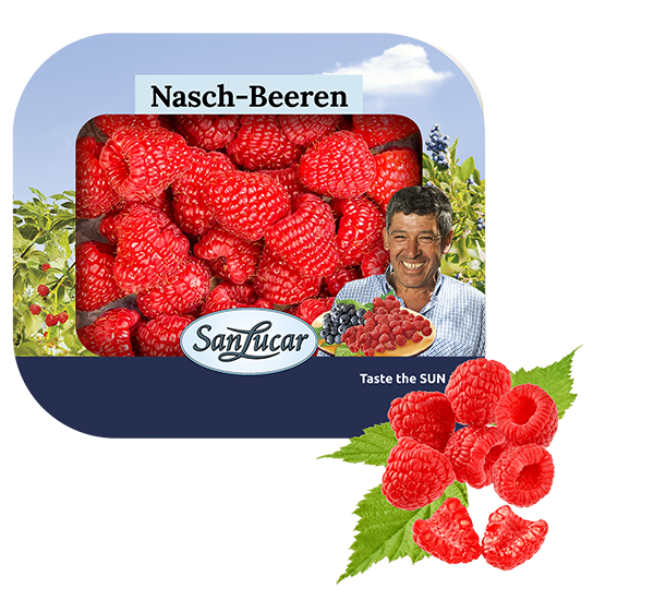 Fresh raspberries in a thermo-sealed, eco-friendly pack, ensuring quality, freshness, and sustainability.
