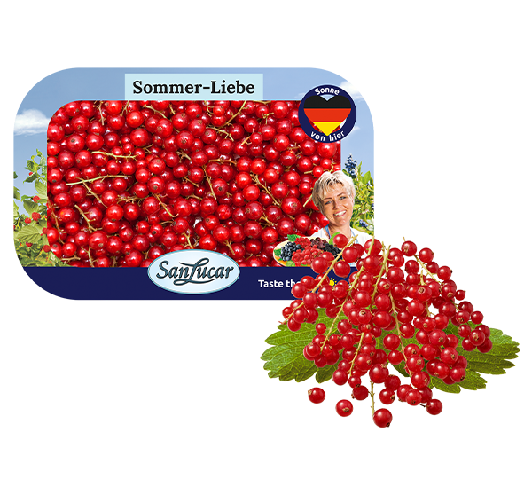 SanLucar 500g red currant packaging, showcasing fresh, high-quality berries.