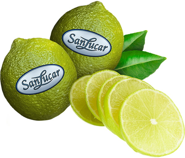 SanLucar XXL limes, fresh and zesty, perfect for juicing and culinary use.