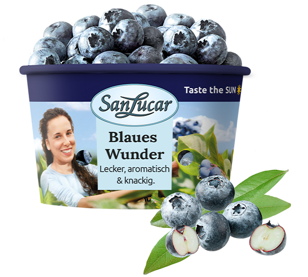 Nature Bowl_arandanos_225g_DEU Nature Bowl 225g of fresh blueberries in eco-friendly packaging, emphasizing quality and sustainability.