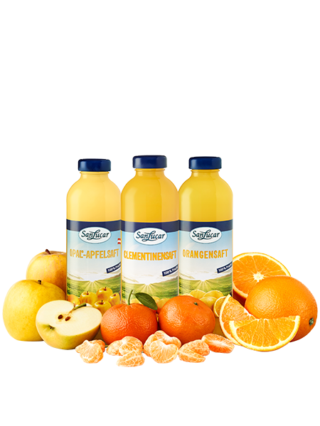 Smoothies fruit guide – an educational resource on different smoothie flavors and their ingredients