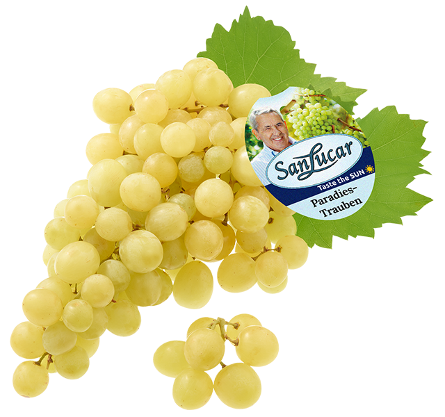 SanLucar white grape packaging, featuring fresh, high-quality grapes with a premium look.