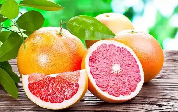 Fresh, ripe grapefruits growing on a tree, surrounded by lush green leaves in natural sunlight.