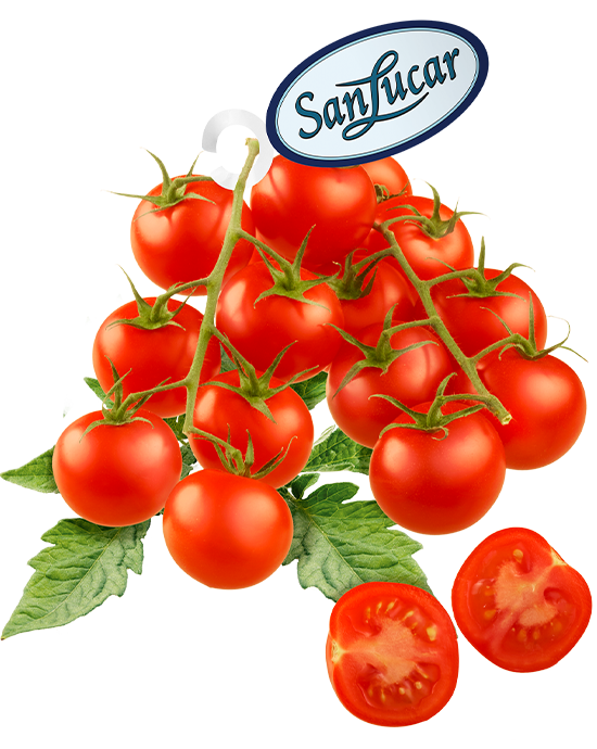 Tomaten_Rubin_lose Rubin tomato logo – a branding icon representing fresh, high-quality Rubin tomatoes