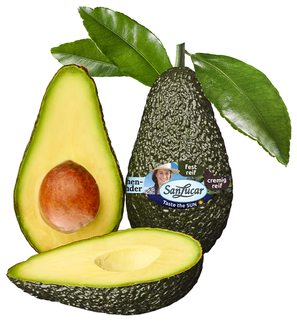 Fresh SanLucar avocado, whole and halved, showcasing its creamy green flesh and rich texture.
