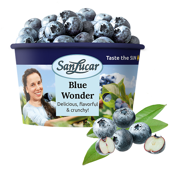 Cubo_225gr_Et_Ing_new_copy