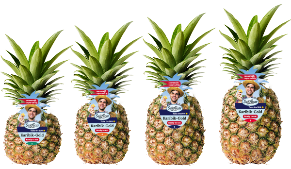 SanLucar Matrioska watermelon, fresh and juicy, with a vibrant green rind and sweet red flesh.