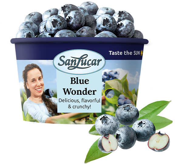 Nature Bowl_arandanos_225g_ENG Nature Bowl 225g of fresh blueberries in eco-friendly packaging, emphasizing quality and sustainability.